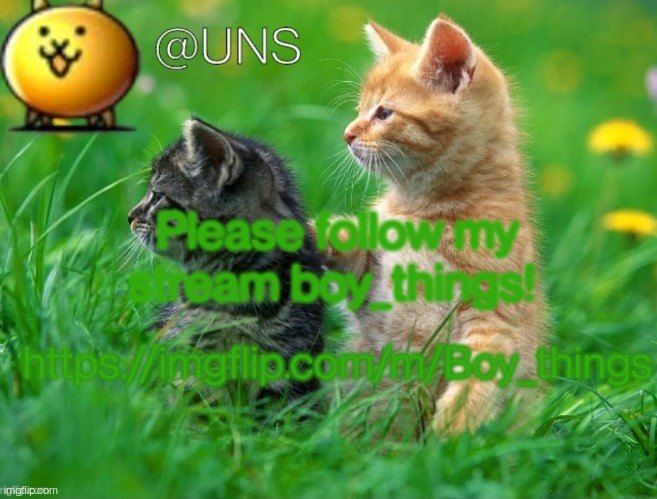 UNS Template | Please follow my stream boy_things! https://imgflip.com/m/Boy_things | image tagged in uns template | made w/ Imgflip meme maker