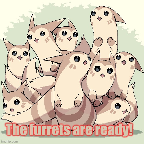 The furret invasion has almost begun! | The furrets are ready! | image tagged in furret,pokemon,anime,furret invasion countdown,cute animals | made w/ Imgflip meme maker