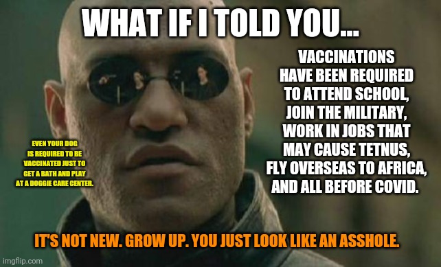 Matrix Vaccine | WHAT IF I TOLD YOU... VACCINATIONS HAVE BEEN REQUIRED TO ATTEND SCHOOL, JOIN THE MILITARY, WORK IN JOBS THAT MAY CAUSE TETNUS, FLY OVERSEAS TO AFRICA, AND ALL BEFORE COVID. EVEN YOUR DOG IS REQUIRED TO BE VACCINATED JUST TO GET A BATH AND PLAY AT A DOGGIE CARE CENTER. IT'S NOT NEW. GROW UP. YOU JUST LOOK LIKE AN ASSHOLE. | image tagged in memes,matrix morpheus,vaccines | made w/ Imgflip meme maker