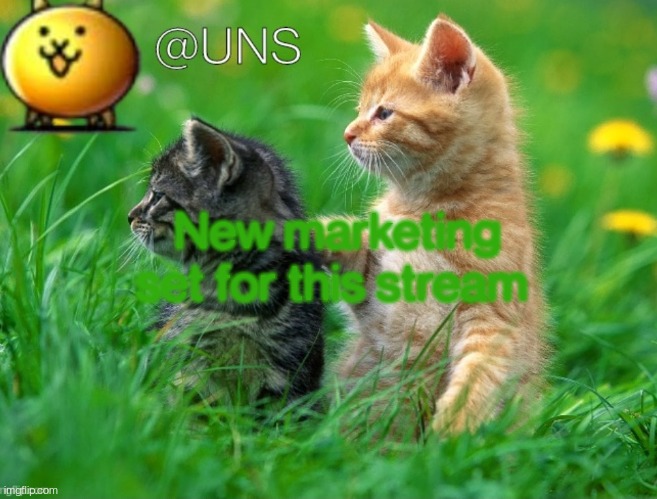 UNS Template | New marketing set for this stream | image tagged in uns template | made w/ Imgflip meme maker