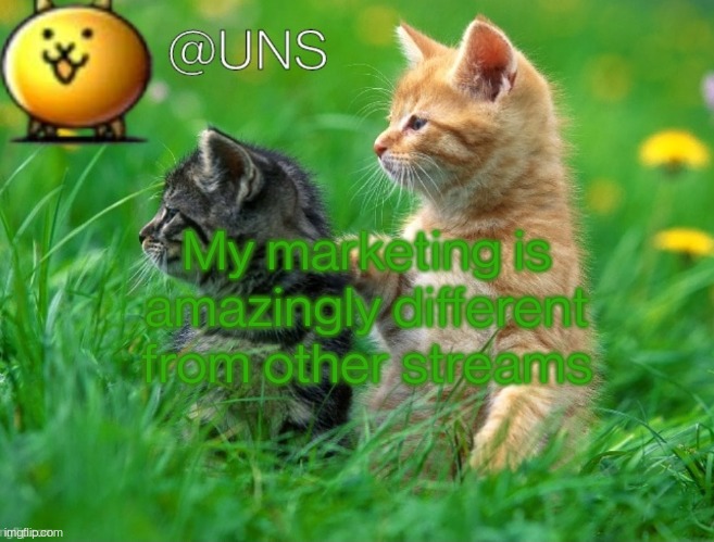 UNS Template | My marketing is amazingly different from other streams | image tagged in uns template | made w/ Imgflip meme maker