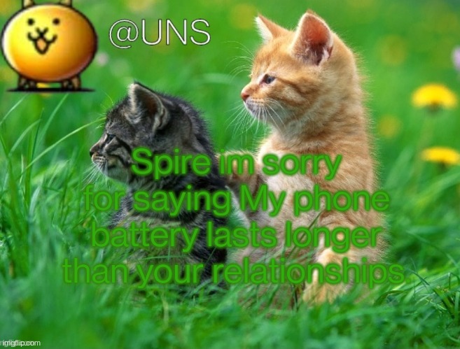 UNS Template | Spire im sorry for saying My phone battery lasts longer than your relationships. | image tagged in uns template | made w/ Imgflip meme maker