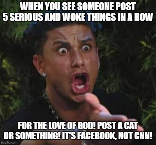 Jersey shore  |  WHEN YOU SEE SOMEONE POST 5 SERIOUS AND WOKE THINGS IN A ROW; FOR THE LOVE OF GOD! POST A CAT OR SOMETHING! IT'S FACEBOOK, NOT CNN! | image tagged in jersey shore | made w/ Imgflip meme maker