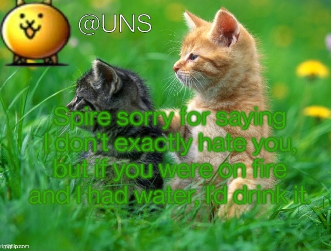 UNS Template | Spire sorry for saying I don’t exactly hate you, but if you were on fire and I had water, I’d drink it. | image tagged in uns template | made w/ Imgflip meme maker