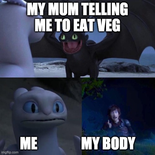 this is how every night goes in my house lol | MY MUM TELLING ME TO EAT VEG; ME                MY BODY | image tagged in toothless presents himself | made w/ Imgflip meme maker