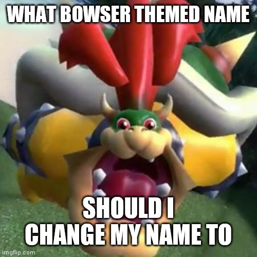 Bowser on LSD | WHAT BOWSER THEMED NAME; SHOULD I CHANGE MY NAME TO | image tagged in bowser on lsd | made w/ Imgflip meme maker