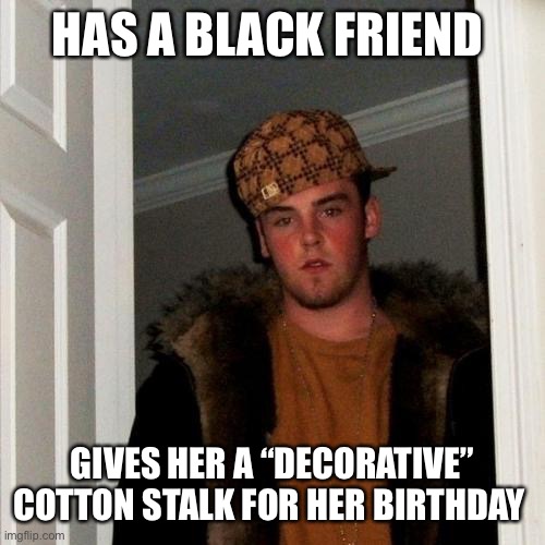 Scumbag Steve | HAS A BLACK FRIEND; GIVES HER A “DECORATIVE” COTTON STALK FOR HER BIRTHDAY | image tagged in memes,scumbag steve | made w/ Imgflip meme maker