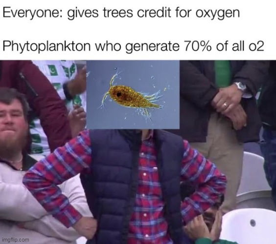 Science memes | image tagged in dissapointed black guy,meme,funny | made w/ Imgflip meme maker