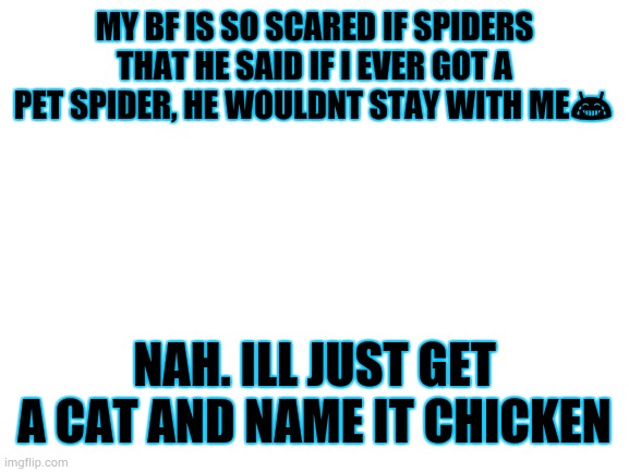 arachnophobia | MY BF IS SO SCARED IF SPIDERS THAT HE SAID IF I EVER GOT A PET SPIDER, HE WOULDNT STAY WITH ME😂; NAH. ILL JUST GET A CAT AND NAME IT CHICKEN | image tagged in blank white template,spiders,arachnophobia | made w/ Imgflip meme maker