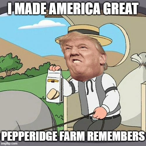 Pepperidge Farm Remembers | I MADE AMERICA GREAT; PEPPERIDGE FARM REMEMBERS | image tagged in memes,pepperidge farm remembers,pepperidge farms remembers,pepperidge farms | made w/ Imgflip meme maker
