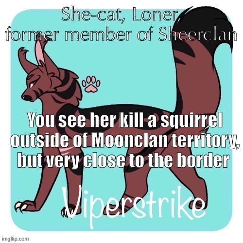 You see her kill a squirrel outside of Moonclan territory, but very close to the border | made w/ Imgflip meme maker