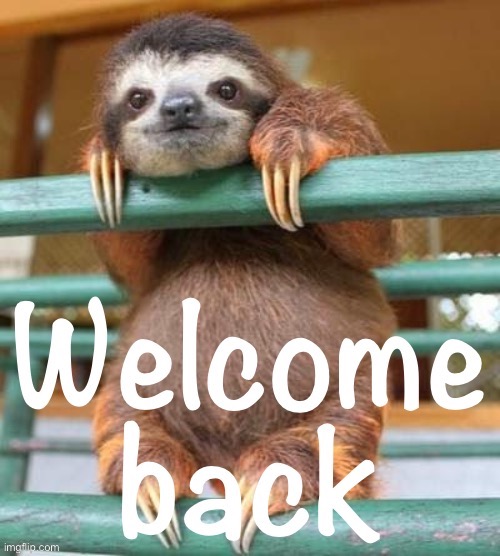 Sloth welcome back | image tagged in sloth welcome back | made w/ Imgflip meme maker