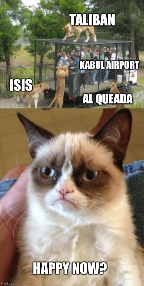 KABUL AIRPORT ISIS TALIBAN AL QUEADA HAPPY NOW? | image tagged in kitty cat lunch box,memes,grumpy cat | made w/ Imgflip meme maker