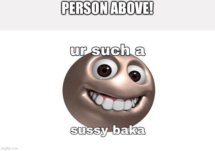 That’s you, Person above. | PERSON ABOVE! | image tagged in sussy baka | made w/ Imgflip meme maker