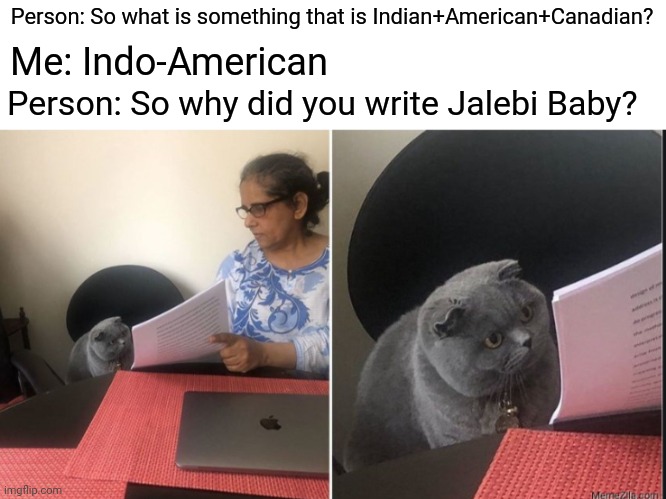 Can't get it out of head | Person: So what is something that is Indian+American+Canadian? Me: Indo-American; Person: So why did you write Jalebi Baby? | image tagged in then why did you write | made w/ Imgflip meme maker