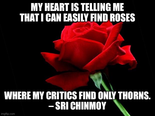 Trust Your Heart | MY HEART IS TELLING ME
THAT I CAN EASILY FIND ROSES; WHERE MY CRITICS FIND ONLY THORNS.
– SRI CHINMOY | image tagged in rose,critics,believe in yourself,anti bully,trust your heart,trust | made w/ Imgflip meme maker
