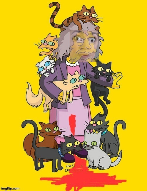 Crazy cat lady | image tagged in crazy cat lady | made w/ Imgflip meme maker