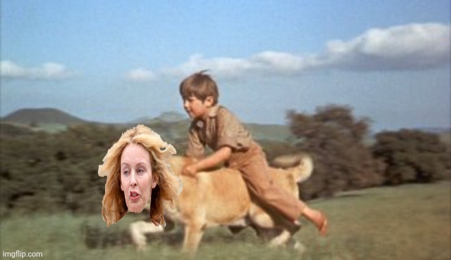 Old Yeller | image tagged in old yeller | made w/ Imgflip meme maker