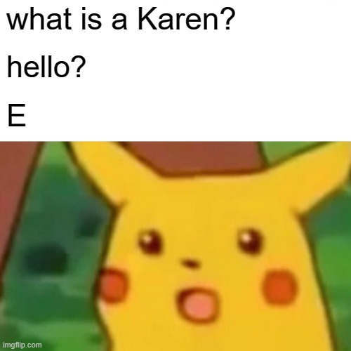 Surprised Pikachu Meme | what is a Karen? hello? E | image tagged in memes,surprised pikachu | made w/ Imgflip meme maker