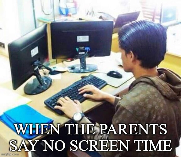 Developer | WHEN THE PARENTS SAY NO SCREEN TIME | image tagged in developer,funnyt,meme,groke,roblox | made w/ Imgflip meme maker