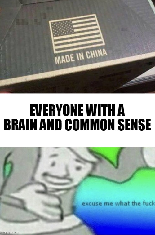 i have absolutely no words for this | EVERYONE WITH A BRAIN AND COMMON SENSE | image tagged in excuse me wtf blank template,supidity | made w/ Imgflip meme maker