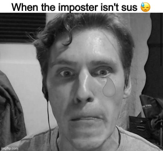 Jerma susn't D; | When the imposter isn't sus 😓 | image tagged in when the imposter is sus | made w/ Imgflip meme maker