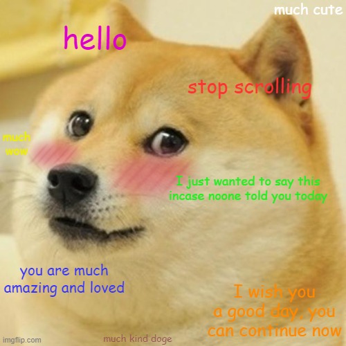 Much kind doge |  much cute; hello; stop scrolling; much wow; I just wanted to say this incase noone told you today; you are much amazing and loved; I wish you a good day, you can continue now; much kind doge | image tagged in memes,doge,cute,kind,hello there | made w/ Imgflip meme maker