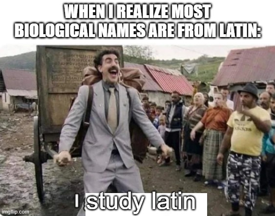i go to america | WHEN I REALIZE MOST BIOLOGICAL NAMES ARE FROM LATIN:; study latin | image tagged in i go to america | made w/ Imgflip meme maker
