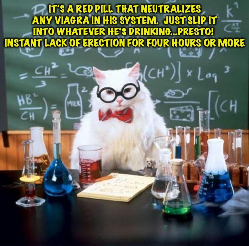 Chemistry Cat Meme | IT'S A RED PILL THAT NEUTRALIZES ANY VIAGRA IN HIS SYSTEM.  JUST SLIP IT INTO WHATEVER HE'S DRINKING...PRESTO!  INSTANT LACK OF ERECTION FOR | image tagged in memes,chemistry cat | made w/ Imgflip meme maker