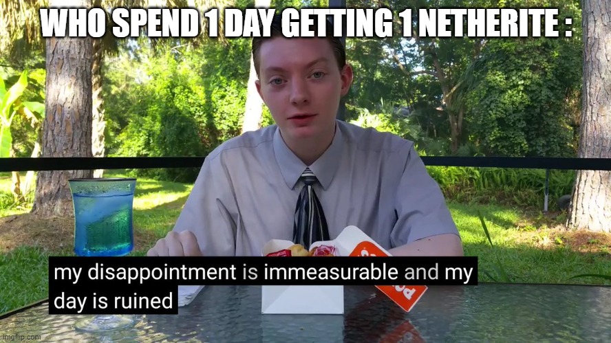 My Disappointment Is Immeasurable | WHO SPEND 1 DAY GETTING 1 NETHERITE : | image tagged in my disappointment is immeasurable | made w/ Imgflip meme maker