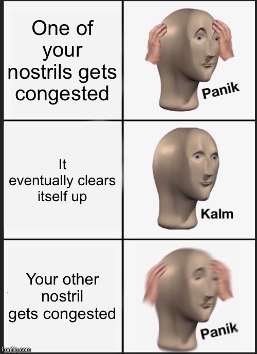 Panik Kalm Panik | One of your nostrils gets congested; It eventually clears itself up; Your other nostril gets congested | image tagged in memes,panik kalm panik | made w/ Imgflip meme maker