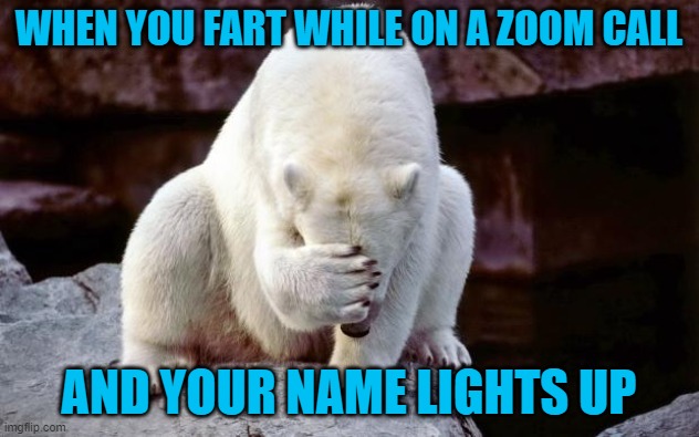Horribly embarrassed polar bear |  WHEN YOU FART WHILE ON A ZOOM CALL; AND YOUR NAME LIGHTS UP | image tagged in horribly embarrassed polar bear | made w/ Imgflip meme maker