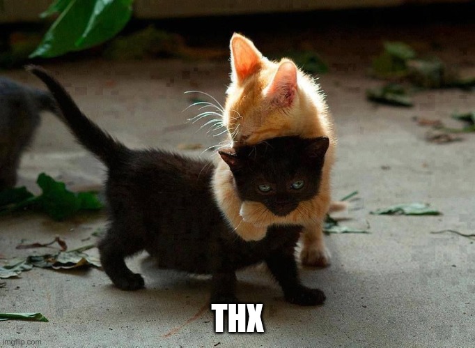 kitten hug | THX | image tagged in kitten hug | made w/ Imgflip meme maker