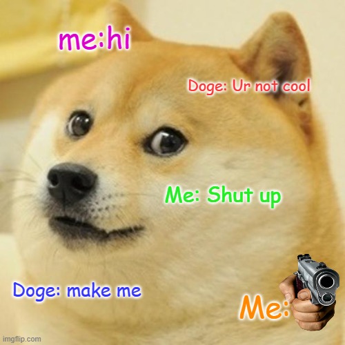 THE DOGE | me:hi; Doge: Ur not cool; Me: Shut up; Doge: make me; Me: | image tagged in memes,doge | made w/ Imgflip meme maker