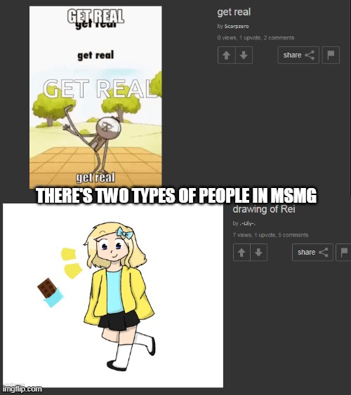 THERE'S TWO TYPES OF PEOPLE IN MSMG | image tagged in memes | made w/ Imgflip meme maker