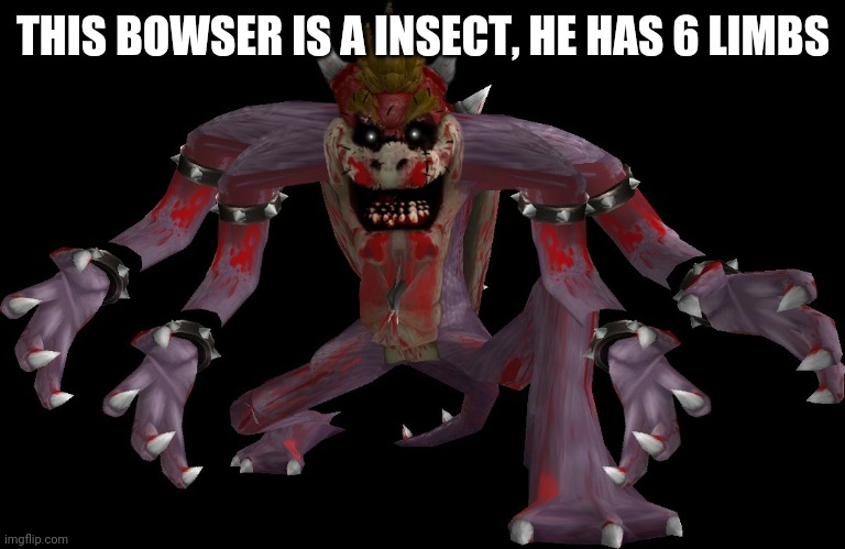 THIS BOWSER IS A INSECT, HE HAS 6 LIMBS | made w/ Imgflip meme maker