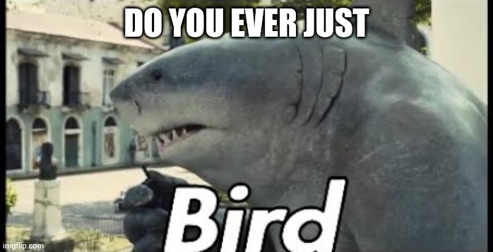 King shark bird | DO YOU EVER JUST | image tagged in king shark bird | made w/ Imgflip meme maker