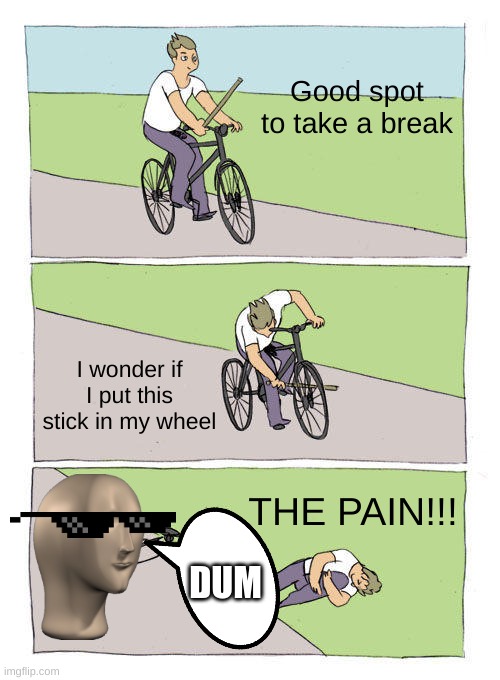 Bike Fall | Good spot to take a break; I wonder if I put this stick in my wheel; THE PAIN!!! DUM | image tagged in memes,bike fall | made w/ Imgflip meme maker