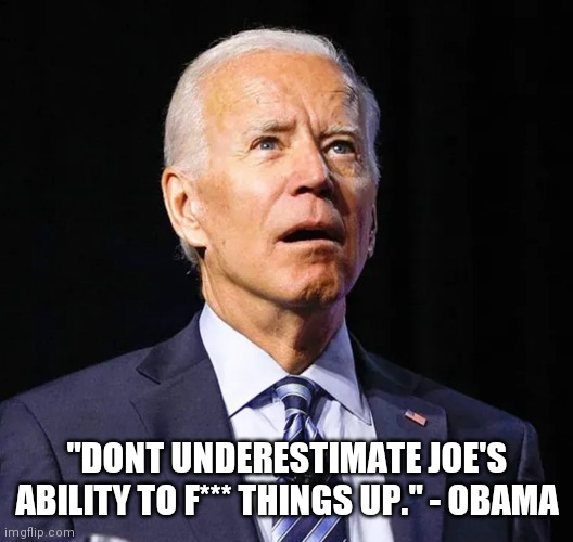 Potato Pres | "DONT UNDERESTIMATE JOE'S ABILITY TO F*** THINGS UP." - OBAMA | image tagged in obama,biden | made w/ Imgflip meme maker