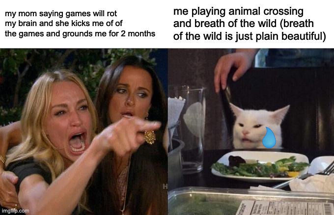 Woman Yelling At Cat | my mom saying games will rot my brain and she kicks me of of the games and grounds me for 2 months; me playing animal crossing and breath of the wild (breath of the wild is just plain beautiful) | image tagged in memes,woman yelling at cat | made w/ Imgflip meme maker