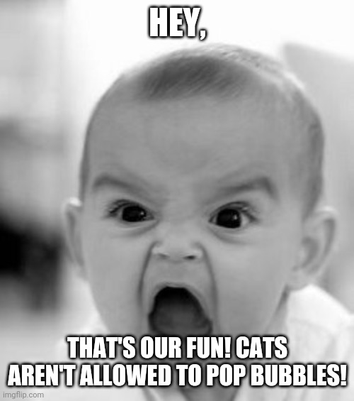 Angry Baby Meme | HEY, THAT'S OUR FUN! CATS AREN'T ALLOWED TO POP BUBBLES! | image tagged in memes,angry baby | made w/ Imgflip meme maker