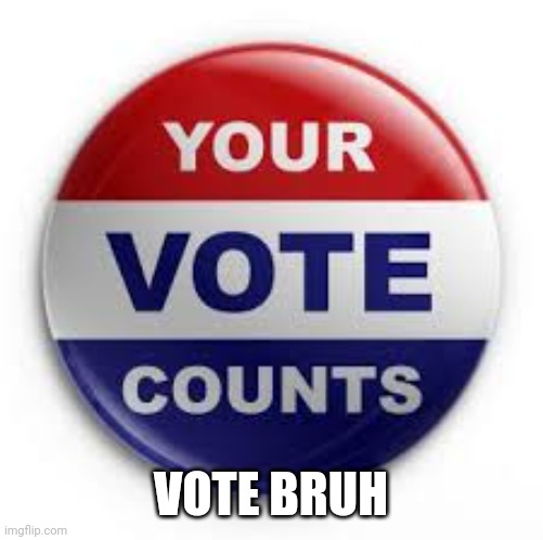 Vote | VOTE BRUH | image tagged in vote | made w/ Imgflip meme maker