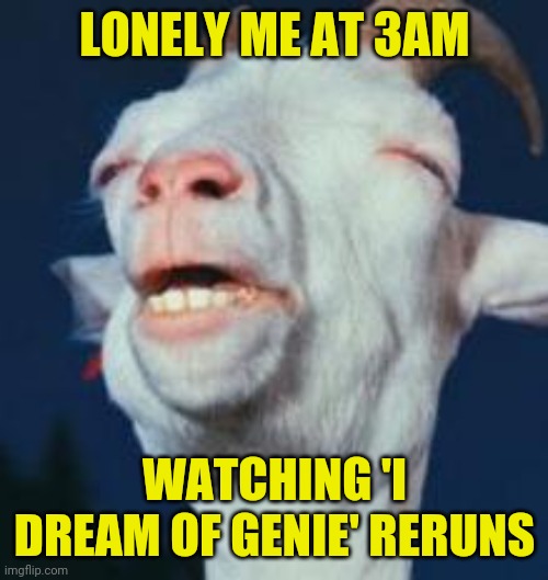 goat | LONELY ME AT 3AM WATCHING 'I DREAM OF GENIE' RERUNS | image tagged in goat | made w/ Imgflip meme maker