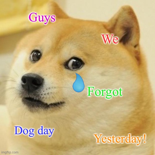 Dog day! | Guys; We; Forgot; Dog day; Yesterday! | image tagged in memes,doge | made w/ Imgflip meme maker