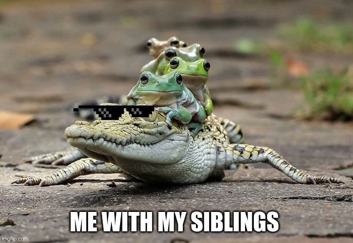 siblings | ME WITH MY SIBLINGS | image tagged in frog riding croc | made w/ Imgflip meme maker