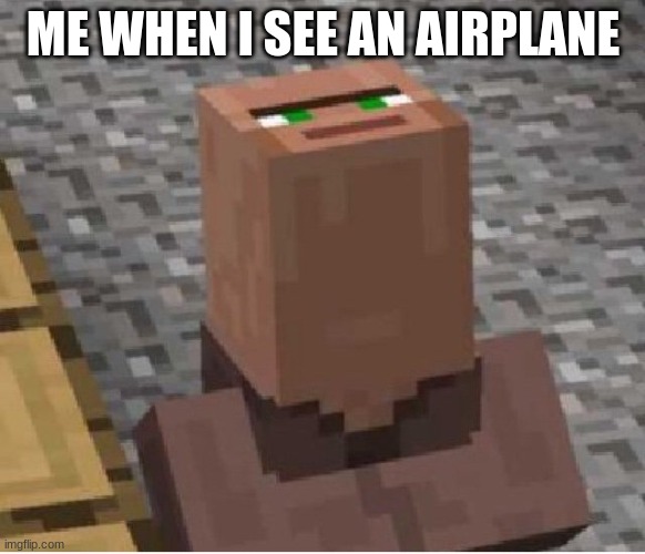 plain | ME WHEN I SEE AN AIRPLANE | image tagged in minecraft villager looking up | made w/ Imgflip meme maker