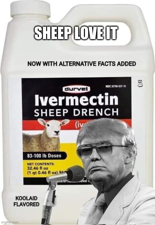 Sheep Love it | SHEEP LOVE IT | image tagged in trump,covid,sheep dewormer,morons,fools,gop | made w/ Imgflip meme maker