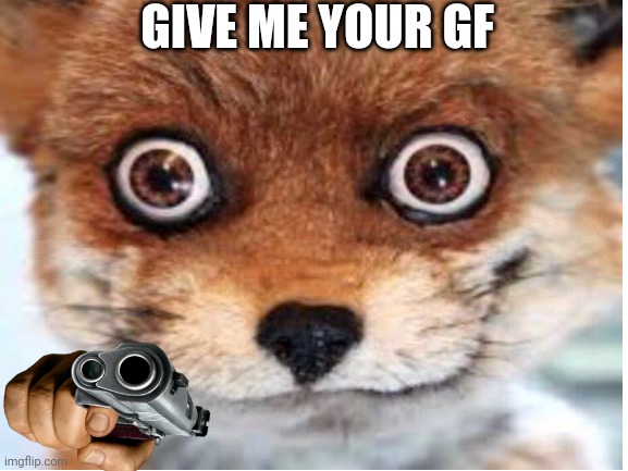 Stoned fox wants your girlfriend | GIVE ME YOUR GF | image tagged in funny memes | made w/ Imgflip meme maker