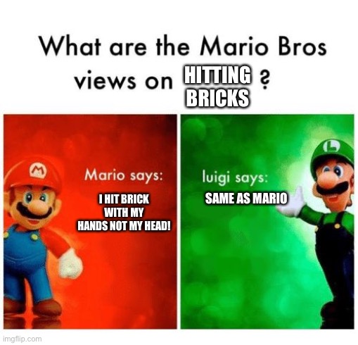 Mario says Luigi says | SAME AS MARIO I HIT BRICK WITH MY HANDS NOT MY HEAD! HITTING BRICKS | image tagged in mario says luigi says | made w/ Imgflip meme maker