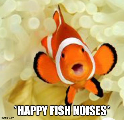 Happy fish | *HAPPY FISH NOISES* | image tagged in happy fish | made w/ Imgflip meme maker